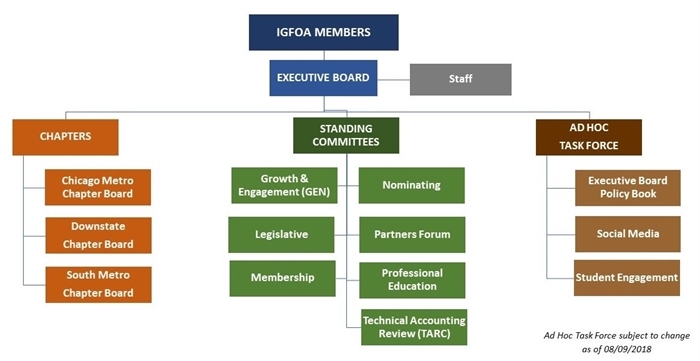 Professional Organization Chart